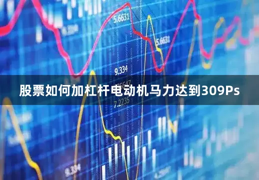 股票如何加杠杆电动机马力达到309Ps